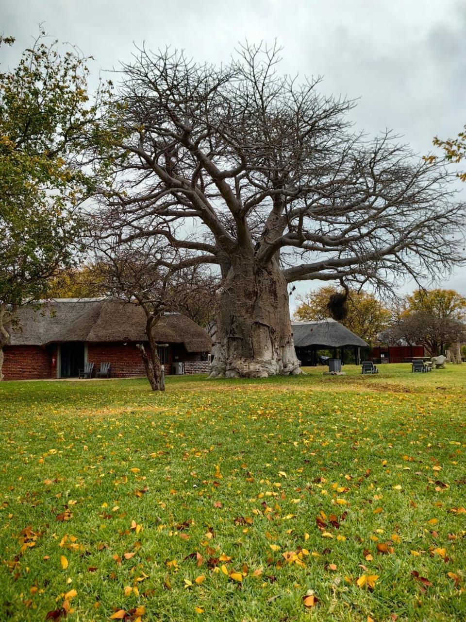 Munati B&B Musina Exterior foto